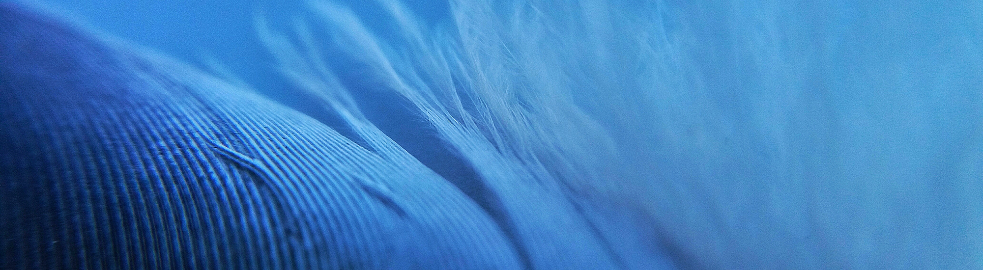 Perpetual ESG Real Return Fund