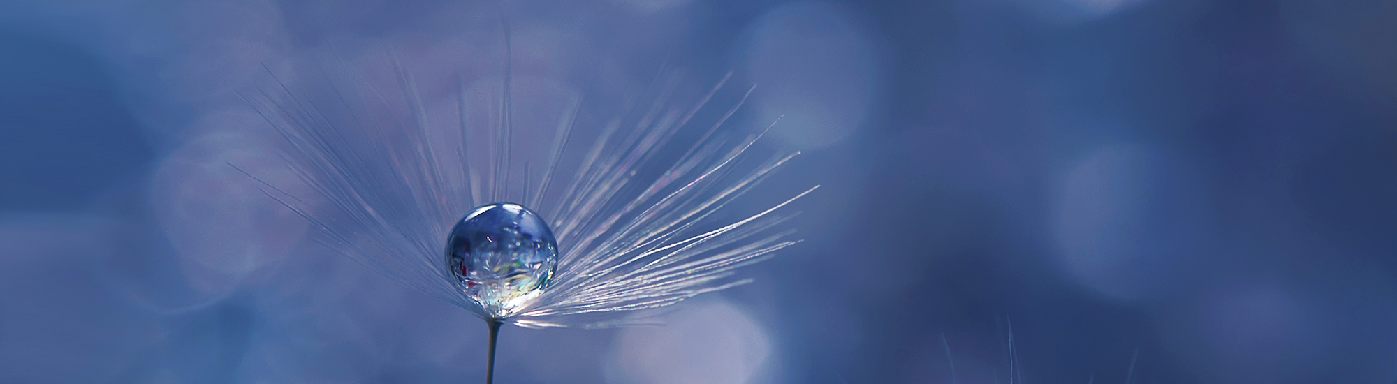 Perpetual Pure Equity Alpha Fund - Class A