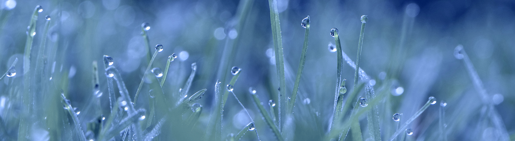 Perpetual Income Opportunities Fund