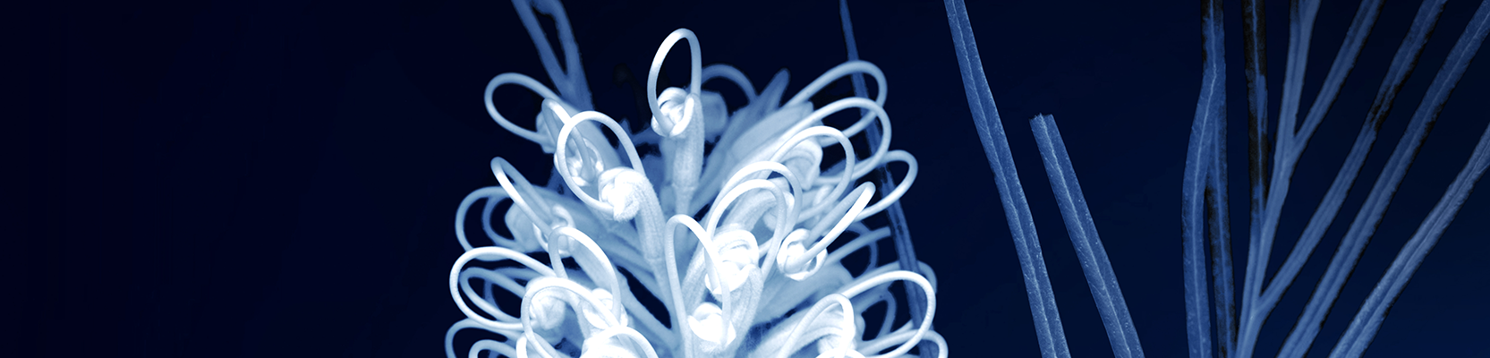 Planning for retirement - your life after work