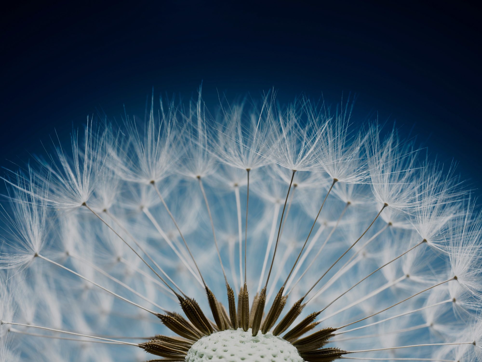 Meet the Perpetual Private team