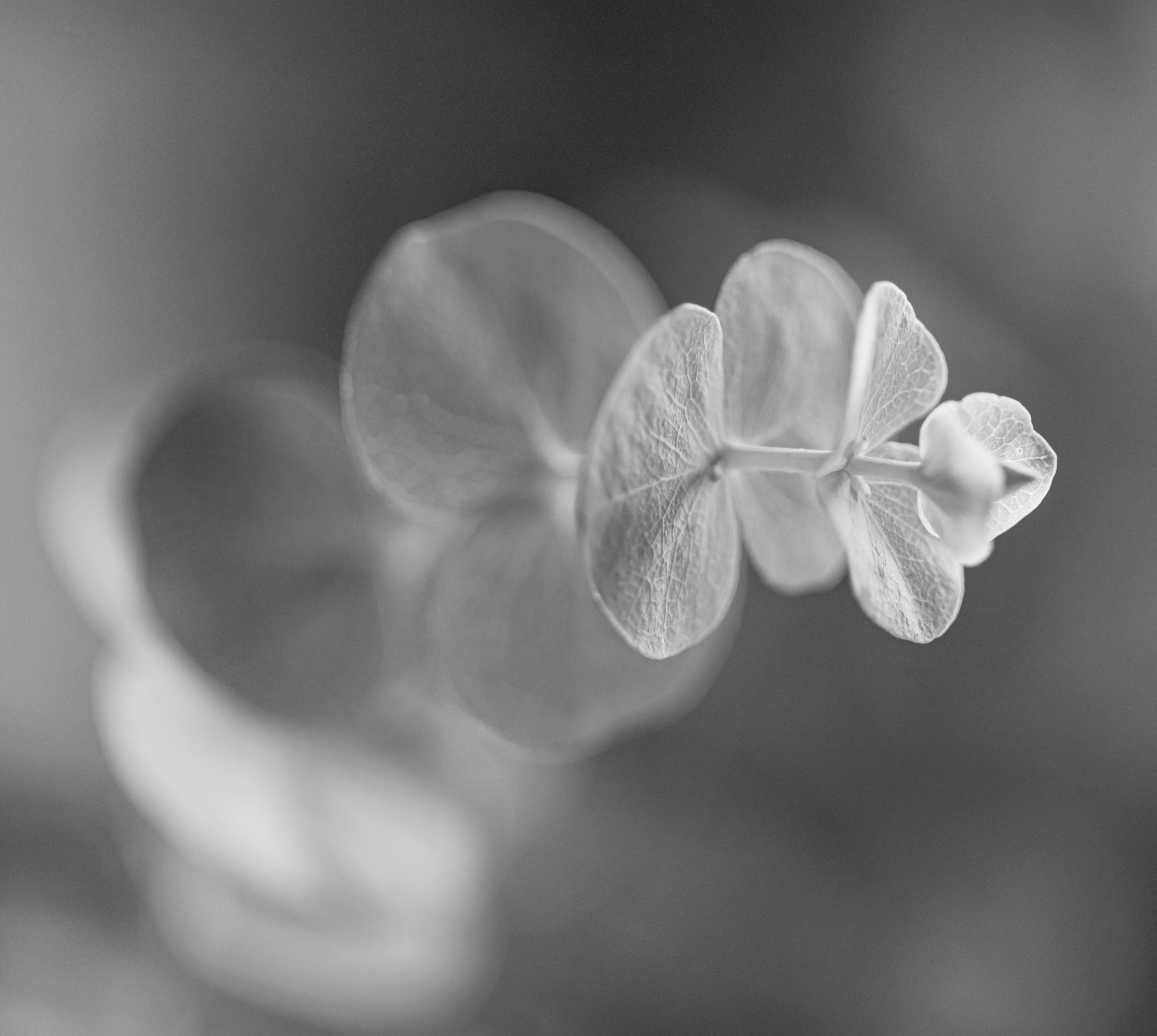 Quality understandable advice you trust