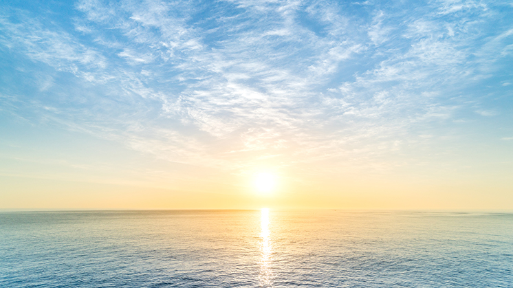 59889 PERPETUAL OCEAN BANNER 746x419.jpg